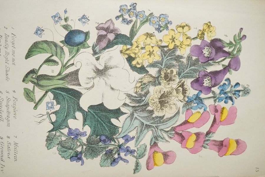 Three books to include Rambles In Search of Wild Flowers and How to Distinguish Them, by Margaret Plues, second edition